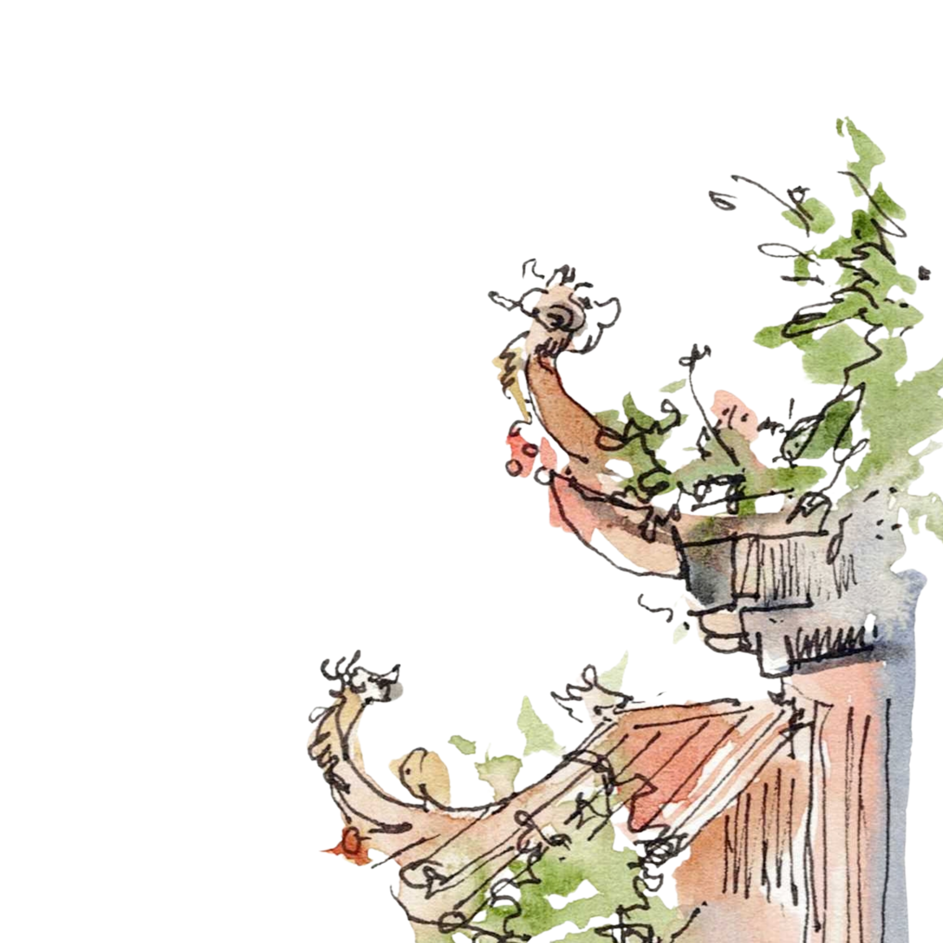 Tam Dao Mountain Temple in Watercolor