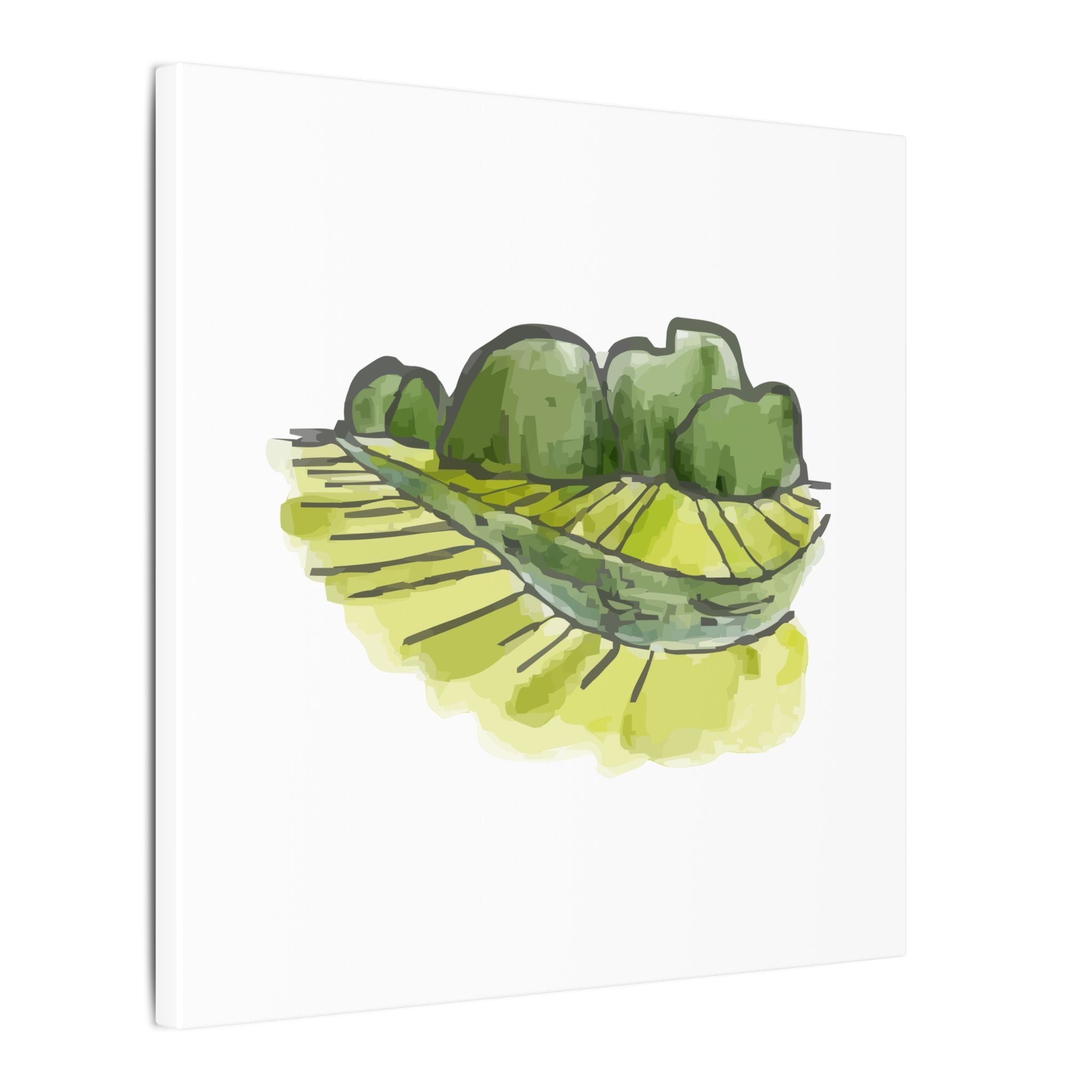 Illustration of a green leaf with a white background